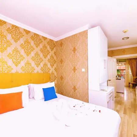 فندق Walnut Shell Hotel- Old Center Sultanahmet 3*